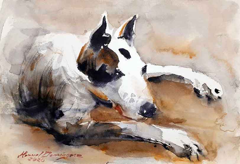 Bull Terrier. Watercolor 11