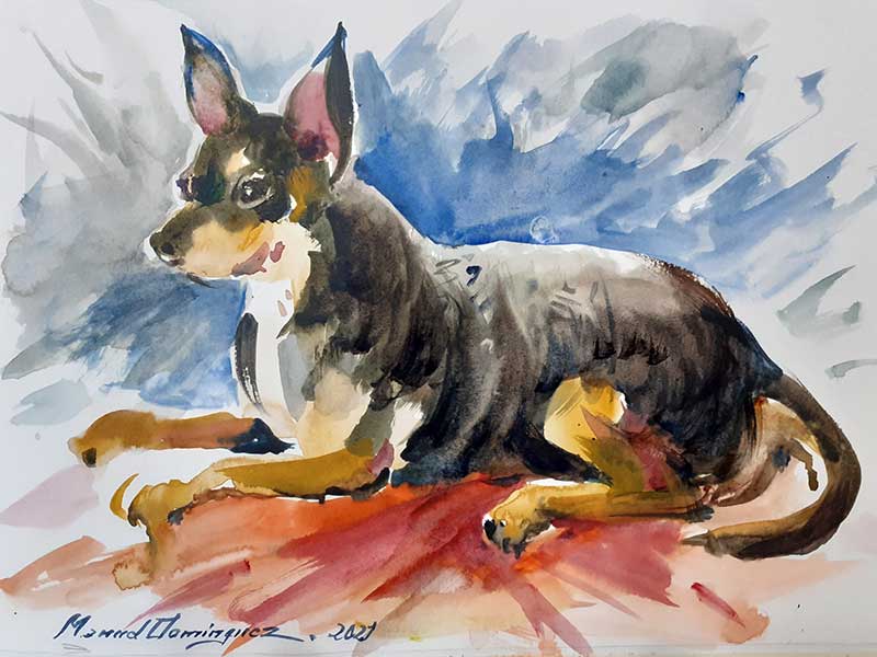 Chihuahua. Watercolor 12